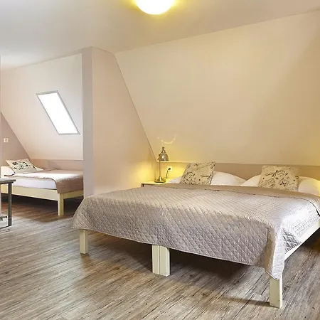 Kostnicky Dum 3* Tabor